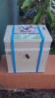 Eco wood Honey Pot Hive - Empty Hive with Viewing panel 