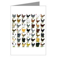 Greeting card - 49 chickens