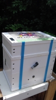 Eco wood Honey Pot Hive - Empty Hive with Viewing panel 