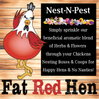 Nest N Coop Herbal Mix - 100g 