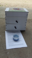 Native Bee Hive & Honey Cups - HOCKINGSI species - SOLD OUT FOR XMAS NOW FEB